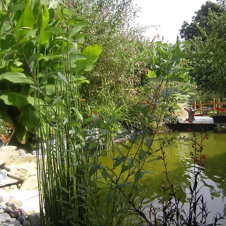 Au Fil De L'eau Couette-café La Ronde (Charente-Maritime)